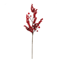 Berry twig