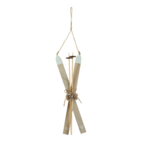 Skis