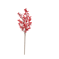 Berry twig