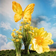 FS25 05 Blumen_und_Schmetterlinge_Sets_27.jpg