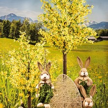 FS25 16 Ostern_Forsythienbäume_12.jpg