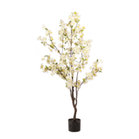 Cherry blossom tree in pot