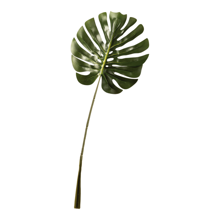 Split-philo leaf