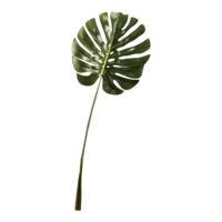 Split-philo leaf