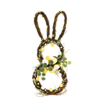 Rabbit contour