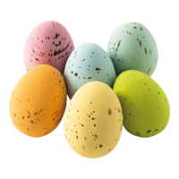 Lapwing eggs
