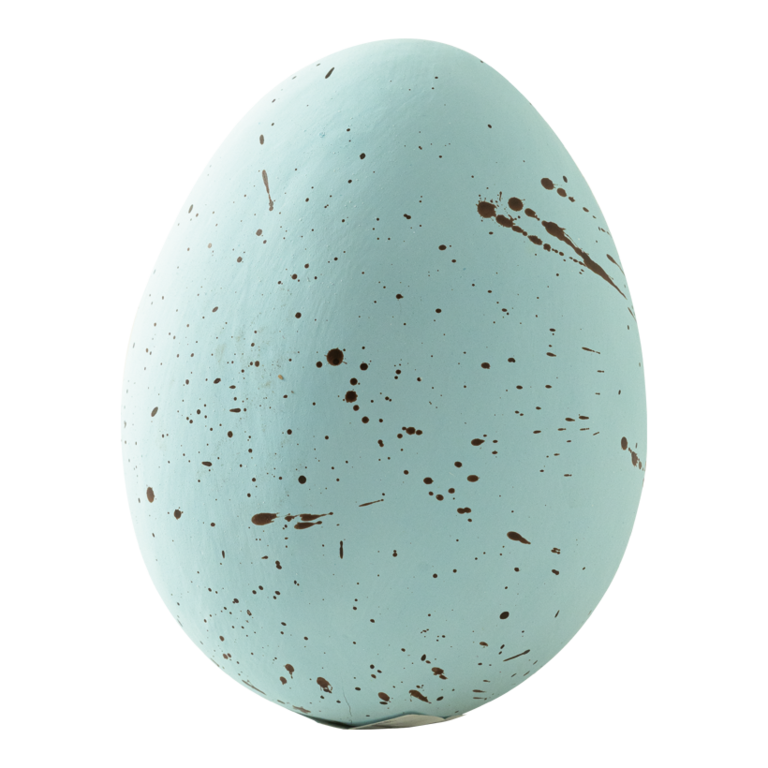 Lapwing egg