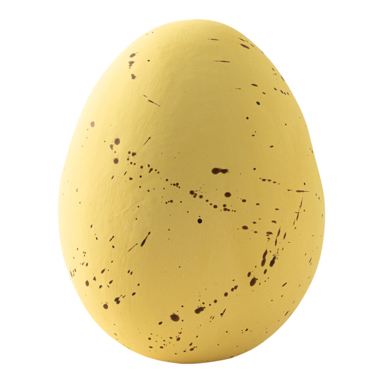 Lapwing egg