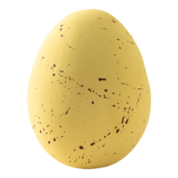 Lapwing egg