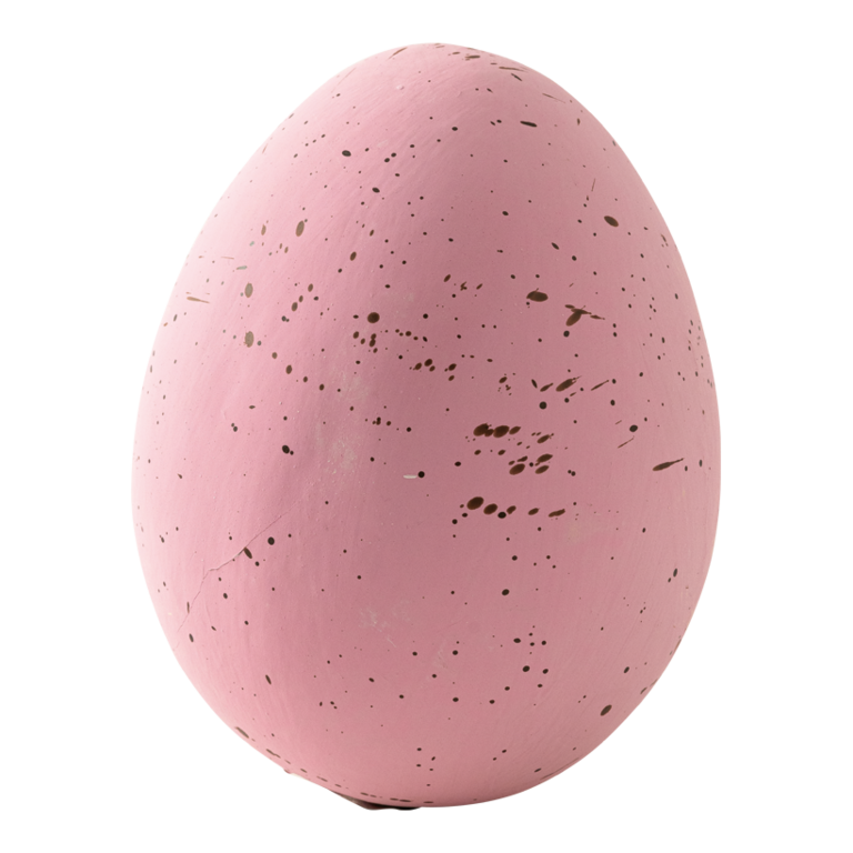Lapwing egg