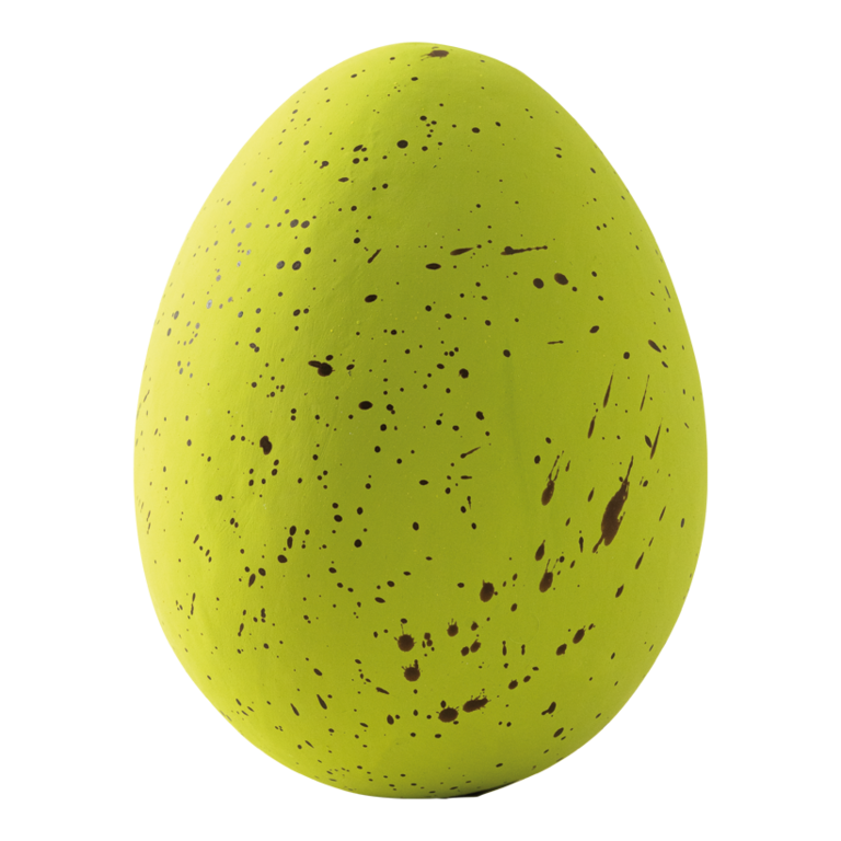 Lapwing egg