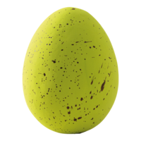 Lapwing egg