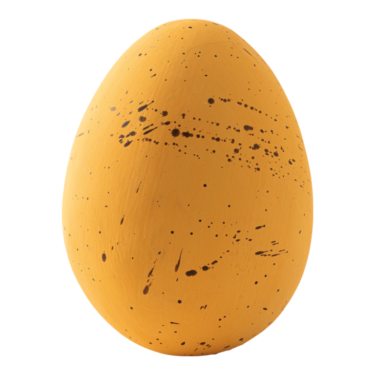 Lapwing egg