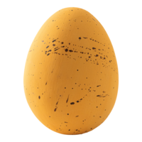 Lapwing egg