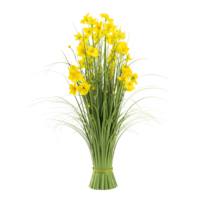 Bundle of grass with daffodil flowers