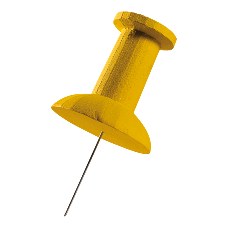 Pin