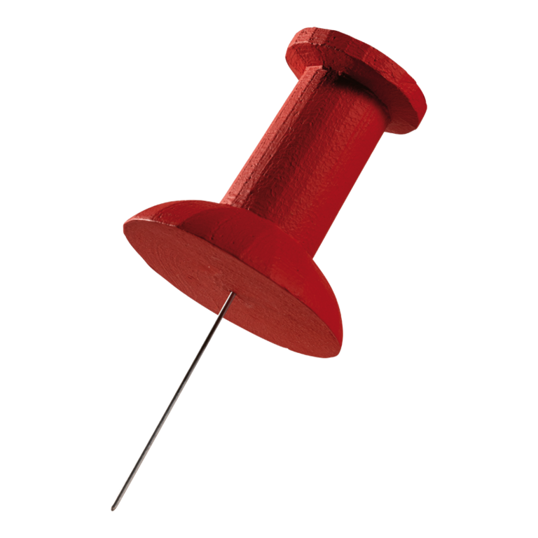 Pin