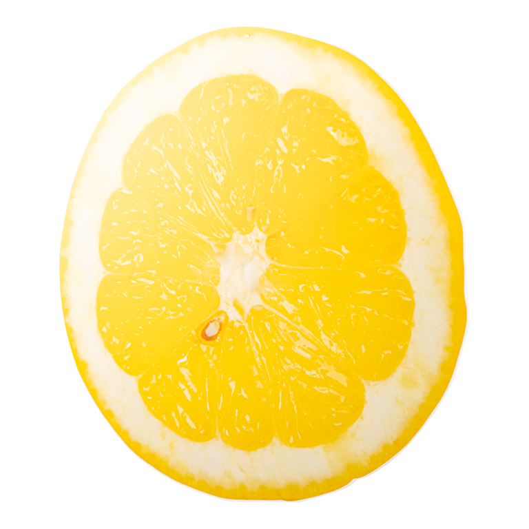Lemon slice