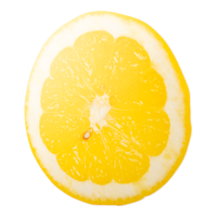 Lemon slice