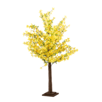 Forsythia tree