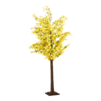 Forsythia tree
