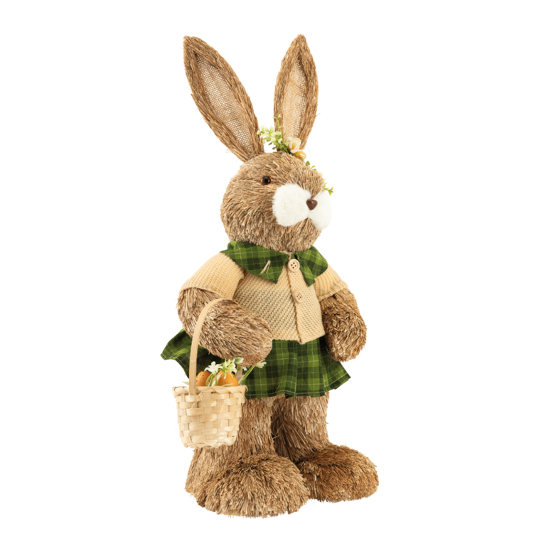Rabbit with dress