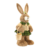 Rabbit with dress