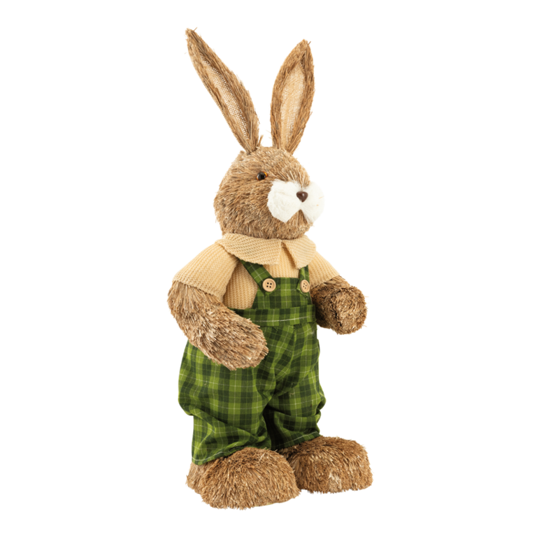 Rabbit with dungarees