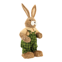Rabbit with dungarees