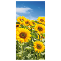 "Flame retardant fabric banner Sunflower Field"