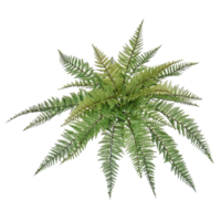 "Fern artificial plant pick flame retardant 48 cm"