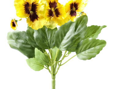 72009011.png