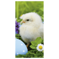 "Flame retardant fabric banner Easter chick"