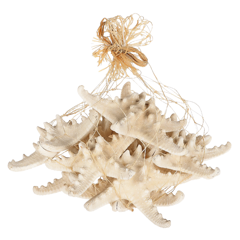 "Natural decorative starfish 12 cm Ø"