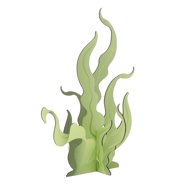 "Seagrass display, 52 cm high"