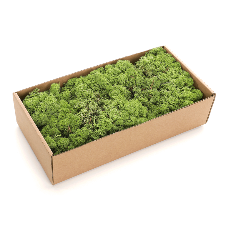 "Real Natural Moss 500 g"