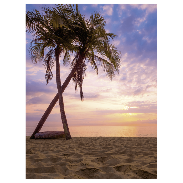 "XL fabric banner ""Palm trees in the sunset"" made of flame-retardant flag fabric 150 x 200 cm"