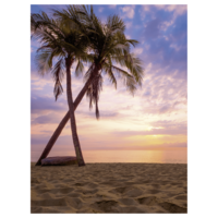 "XL fabric banner ""Palm trees in the sunset"" made of flame-retardant flag fabric 150 x 200 cm"