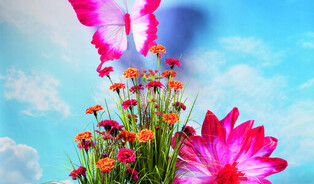 Download onze Catalogus! 