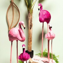 FS25 27 Flamingos_Gesamt.jpg