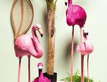 FS25 27 Flamingos_Gesamt.jpg