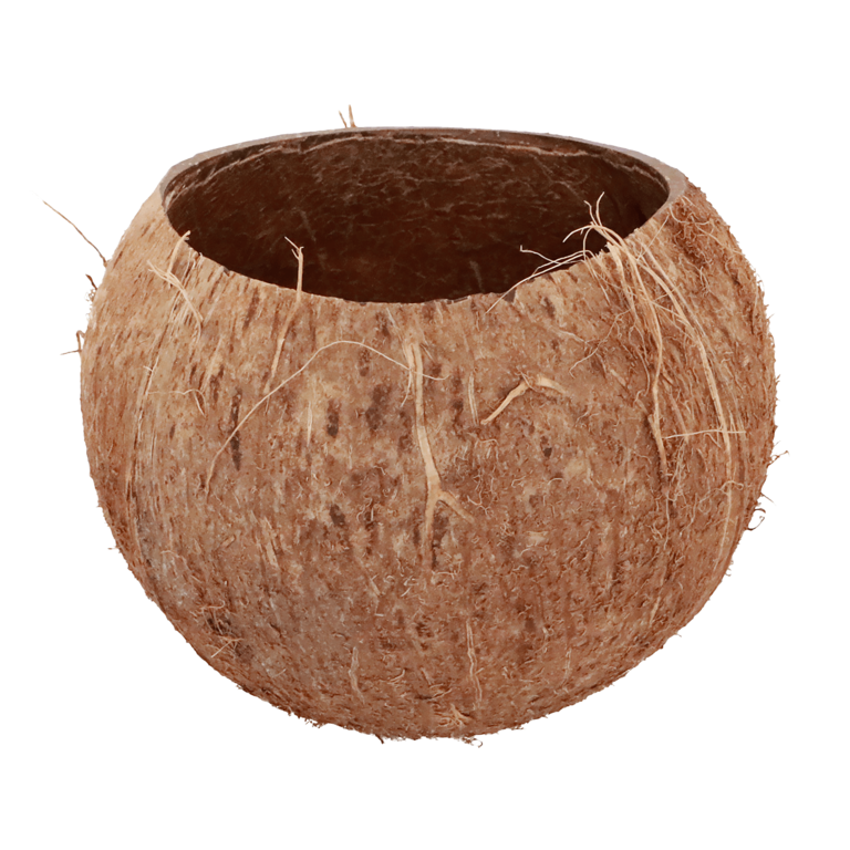 "Decorative coconut to fill 13x10 cm "