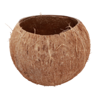 "Decorative coconut to fill 13x10 cm "