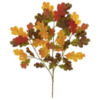 "Artificial acorn branch colorful 66 cm, B1"