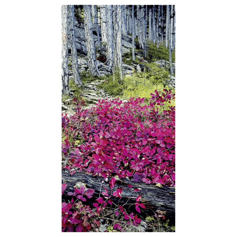 "Flame retardant fabric banner rotes Laub im Wald 100 x 200 cm