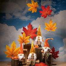 HW25 33_Zwerge_Herbst_1.jpeg
