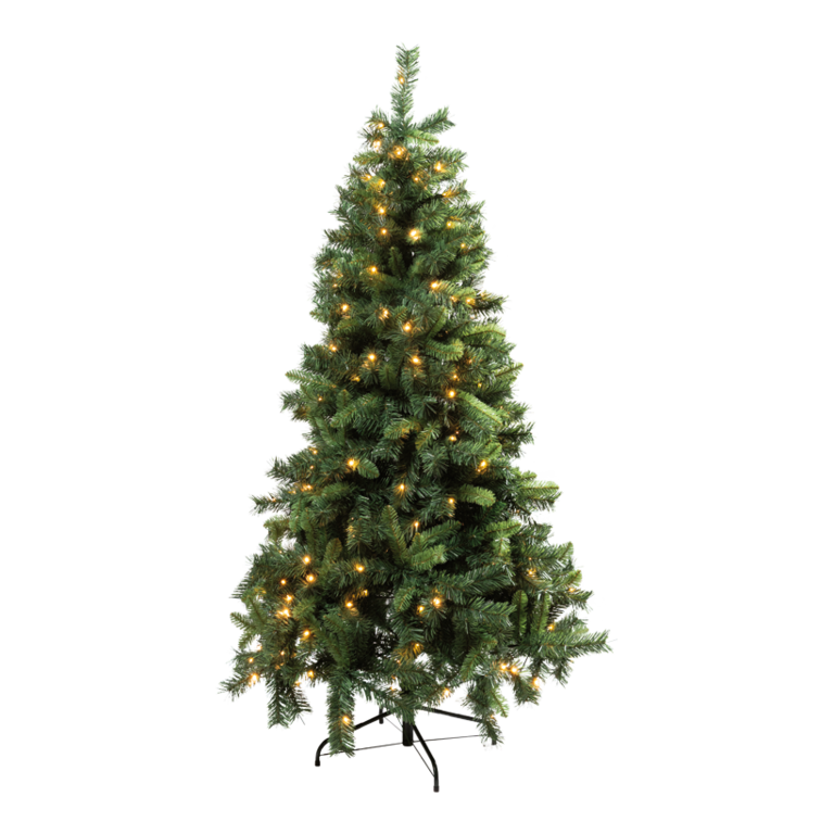 Noble fir