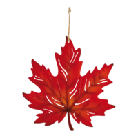 Maple leaf