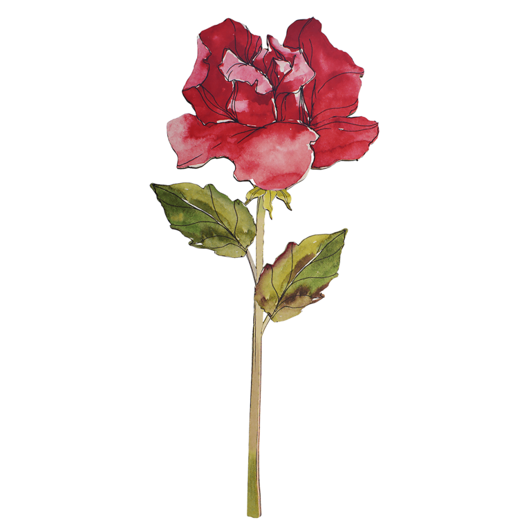 "Hanging display Rose 95 cm"