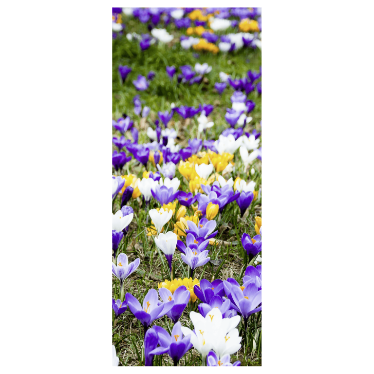 "Flame retardant fabric banner crocuses"